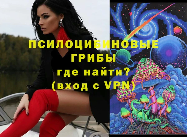 прущая мука Арсеньев